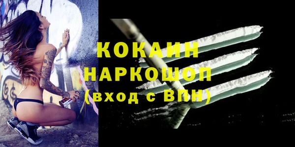 СК Алексин