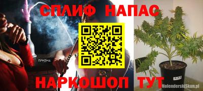 амф Пугачёв